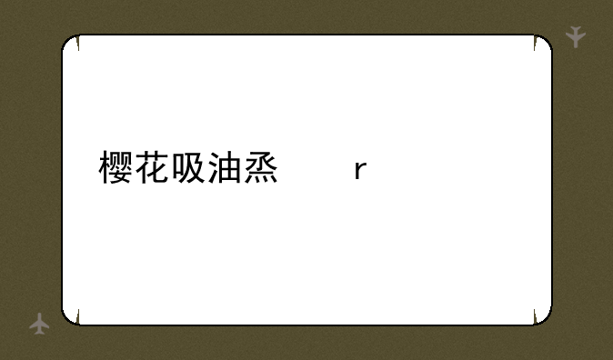 樱花吸油烟机价格