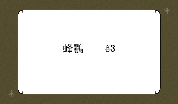 蜂鸟二手摄影器材