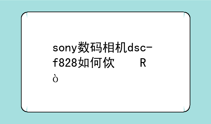 sony数码相机dsc-f828如何使用？