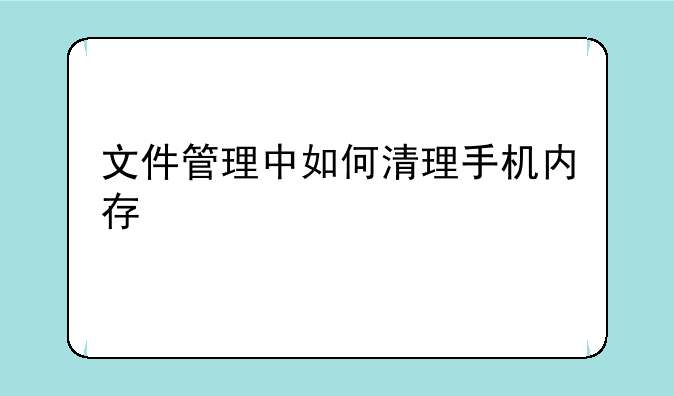 文件管理中如何清理手机内存