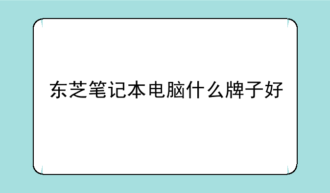 东芝笔记本电脑什么牌子好