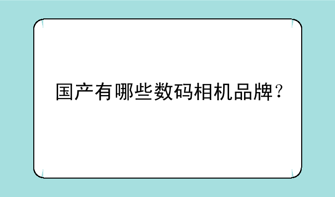 国产有哪些数码相机品牌？