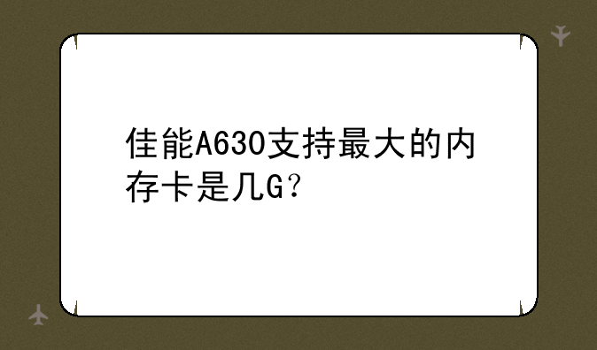 佳能A630支持最大的内存卡是几G？