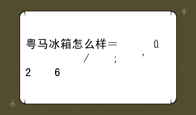 粤马冰箱怎么样？深度评测与选购指南