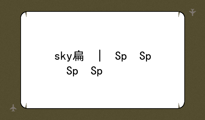 sky手机