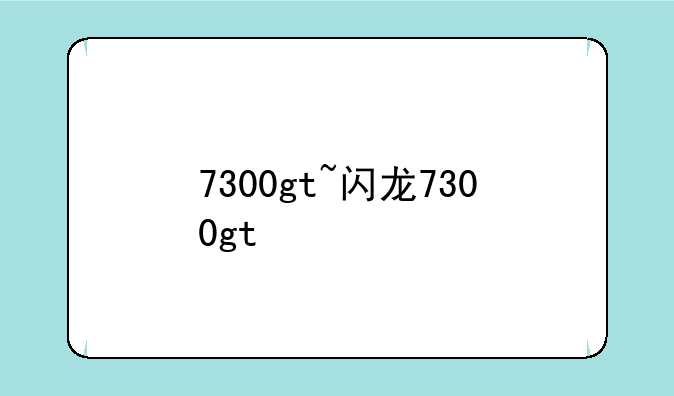 7300gt~闪龙7300gt
