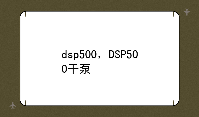 dsp500，DSP500干泵