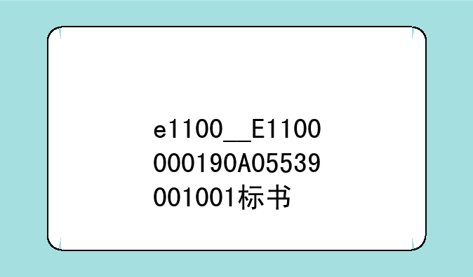 e1100__E1100000190A05539001001标书