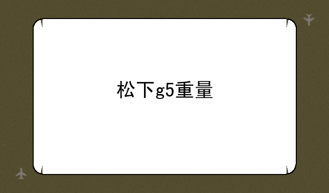 松下g5重量