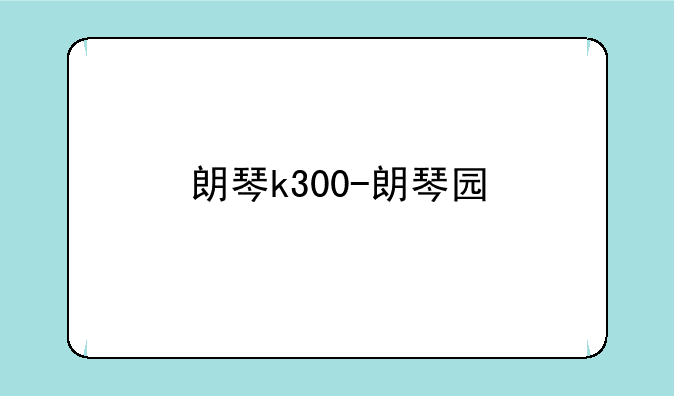朗琴k300-朗琴园