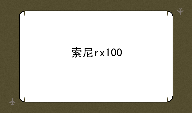 索尼rx100