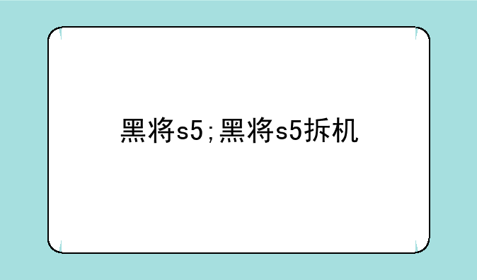 黑将s5;黑将s5拆机
